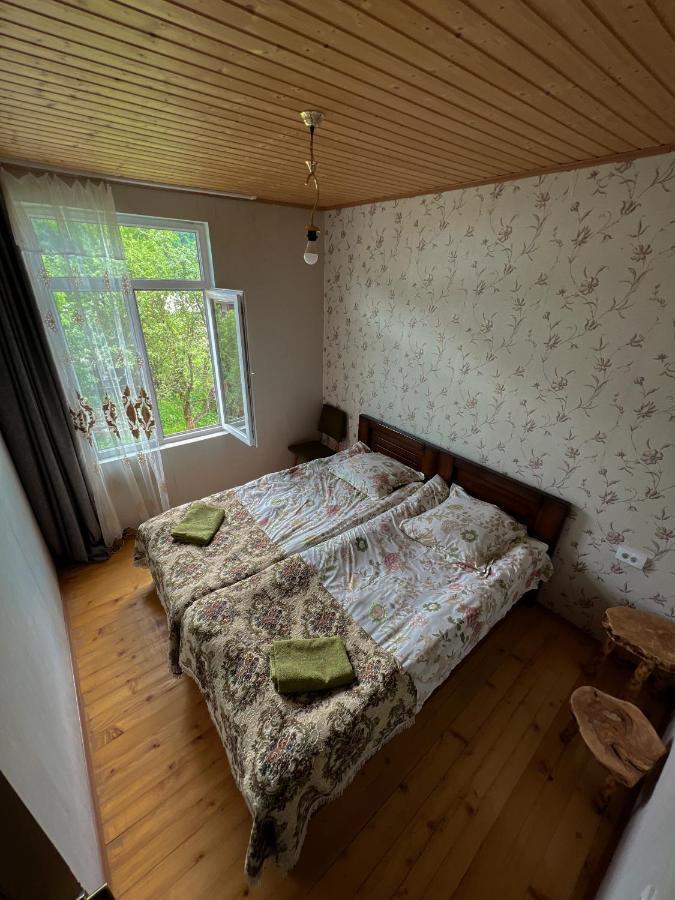 Barbara'S Eco-Cozy Guesthouse Mestia Extérieur photo