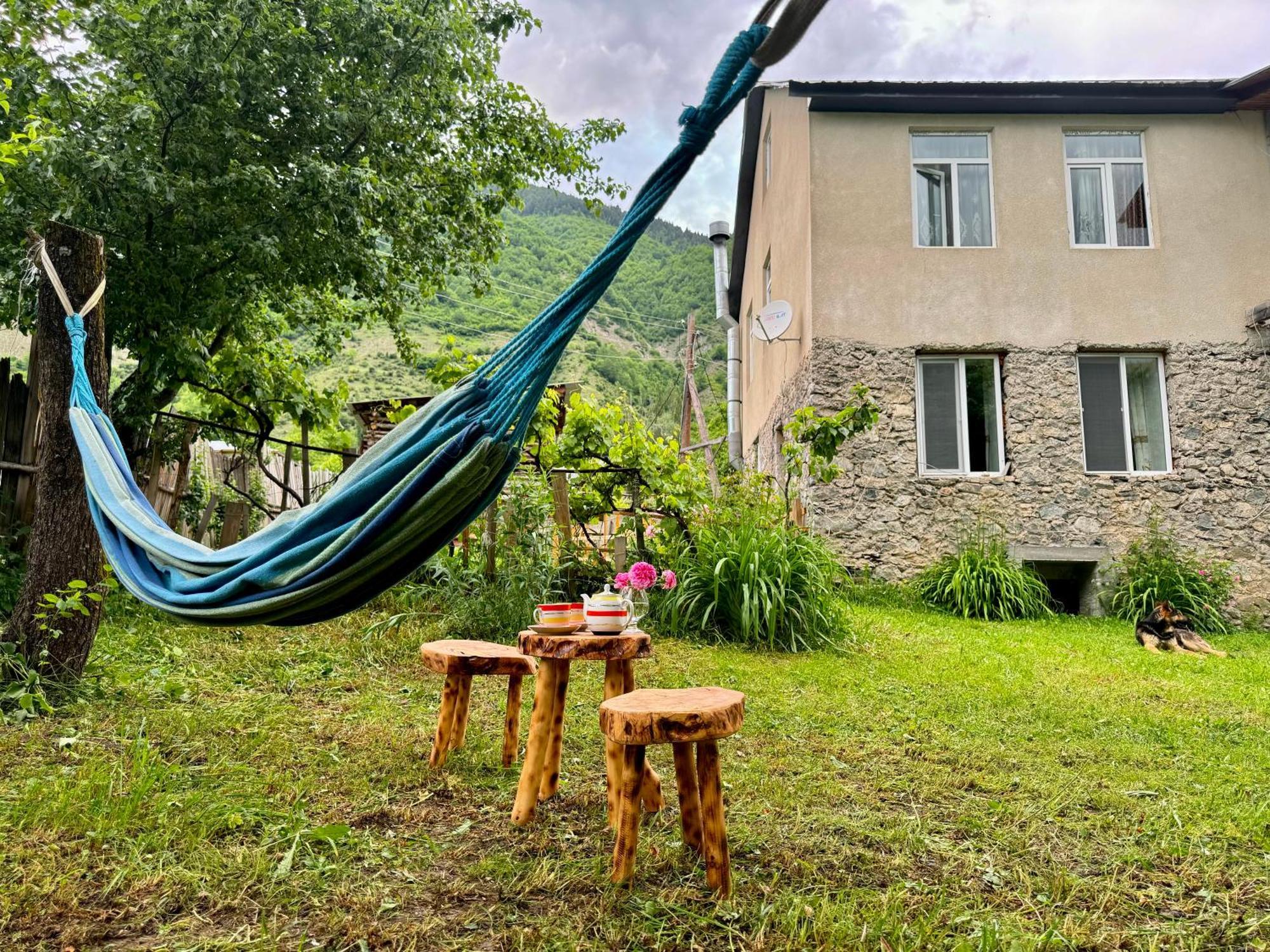 Barbara'S Eco-Cozy Guesthouse Mestia Extérieur photo